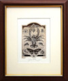 /products/stvoreni-sveta-hmyz-milan-bauer-grafika/
